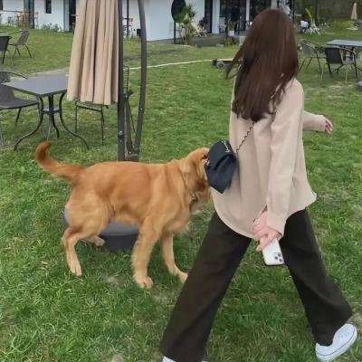 制造杀人犯第二季